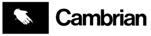 Cambrian Records